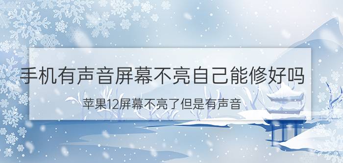 手机有声音屏幕不亮自己能修好吗 苹果12屏幕不亮了但是有声音？